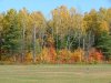 Deep River airstrip in early Autumn/Fall