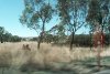 Driving towards Ballarat