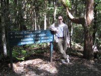 The next day: Kondalilla National Park outside Brisbane