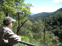 The next day: Kondalilla National Park outside Brisbane