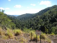 The next day: Kondalilla National Park outside Brisbane