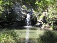The next day: Kondalilla National Park outside Brisbane
