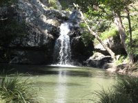 The next day: Kondalilla National Park outside Brisbane