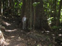 The next day: Kondalilla National Park outside Brisbane