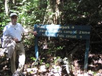 The next day: Kondalilla National Park outside Brisbane