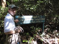 The next day: Kondalilla National Park outside Brisbane