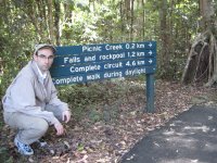 The next day: Kondalilla National Park outside Brisbane