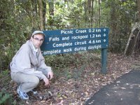 The next day: Kondalilla National Park outside Brisbane