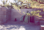 FDR Statue