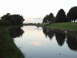 Ducks on the Canal at Twilight