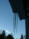 Winter Icycles