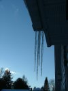 Winter Icycles