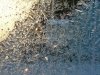 Window ice crystal growth as  fern motif