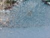 Window ice crystal growth as  fern motif