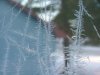 Window ice crystal growth as  fern motif