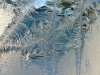 Window Winter ice-crystal growth as fern motifs