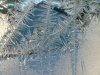 Window Winter ice-crystal growth as fern motifs