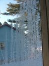 Window Winter ice-crystal growth as fern motifs