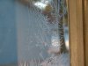 Window Winter ice-crystal growth as fern motifs