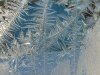 Window Winter ice-crystal growth as fern motifs