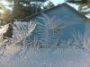 Window Winter ice-crystal growth as fern motifs