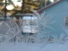 Window Winter ice-crystal growth as fern motifs