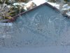 Window Winter ice-crystal growth as fern motifs