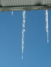 Winter icycles in the sun