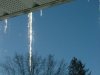 Winter icycles in the sun