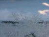 Window Winter ice-crystal growth as fern motifs