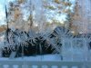Window Winter ice-crystal growth as fern motifs