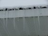 Winter icycles