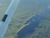 Flying above Algonquin Park