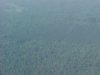 View from the air