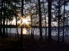 Sunset through the trees at Lamure Beach