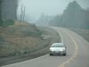 Highway 17 in the mist