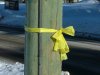 Yellow Ribbon