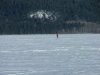 Cross country skiiing on the frozen Ottawa River