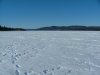 View of the frozen Ottawa River and ice fishing huts