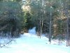 Four seasons trail in Winter
