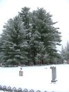 Cemetary under snow