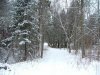 Snow covered path to Lamure Beach