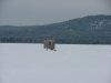 Ice fishing shack on the Ottawa River