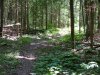 Four Seasons Trail near Deep River