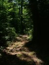 Four Seasons Trail near Deep River