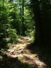 Four Seasons Trail near Deep River