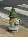 Fire Hydrant