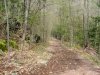 Trail down from Little Pine Orchard Picnic Area