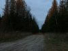Bass Lake Road at twilight