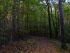 Trail to Little Pine Orchard Picnic Area, Catskills, New York State